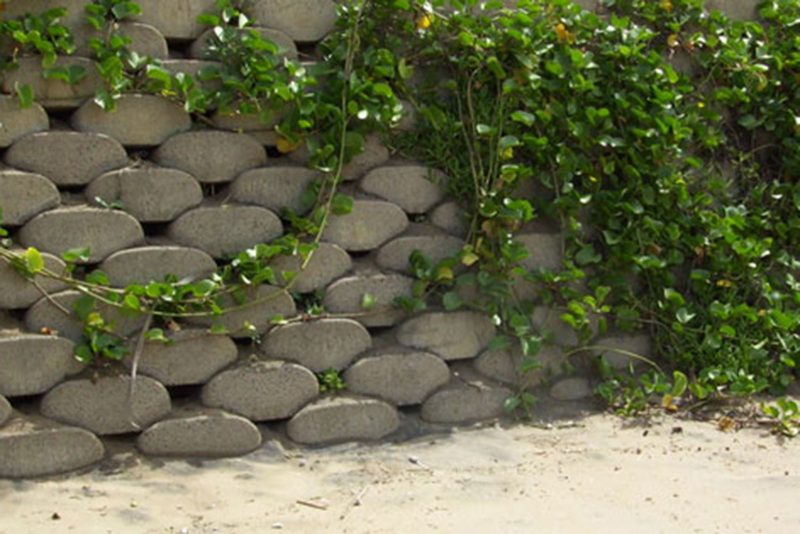 stop-coastal-erosion-australia-2