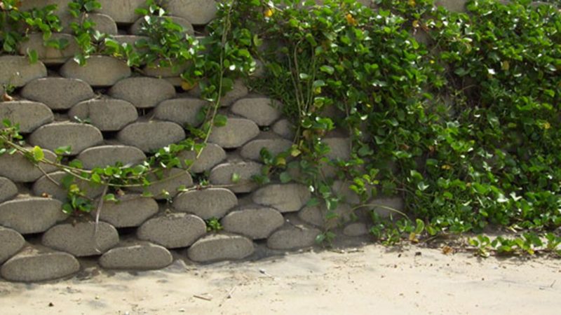 stop-coastal-erosion-australia-2